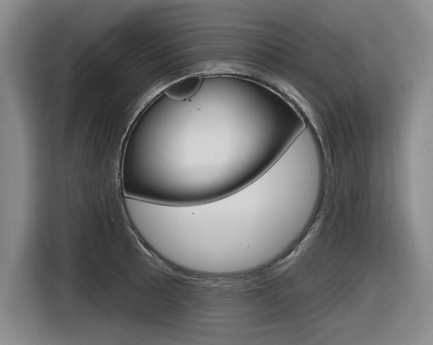 X0000116431089200912081215