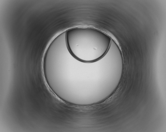 X0000116431096200912081215