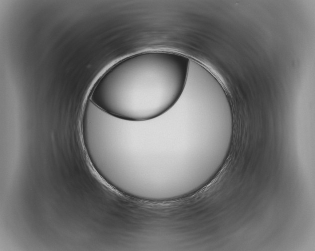 X0000116431100200912081215
