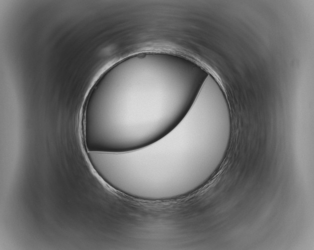 X0000116431103200912081215