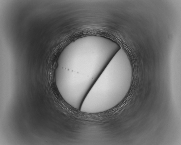 X0000116431109200912081215