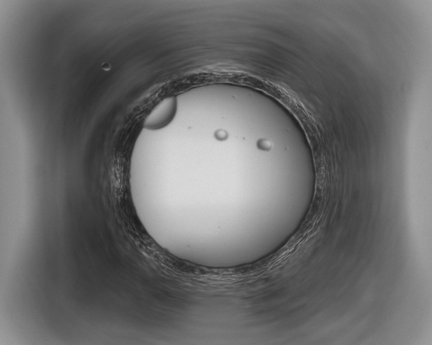 X0000116431110200912081215