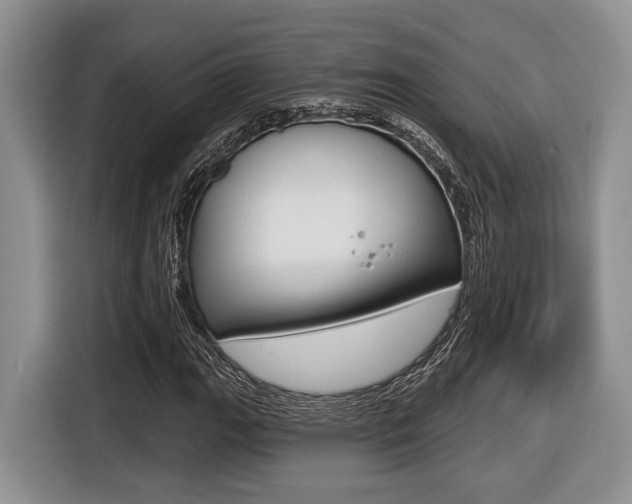 X0000116431111200912081215