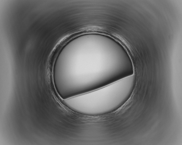 X0000116431115200912081215