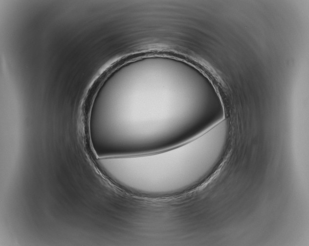 X0000116431118200912081215