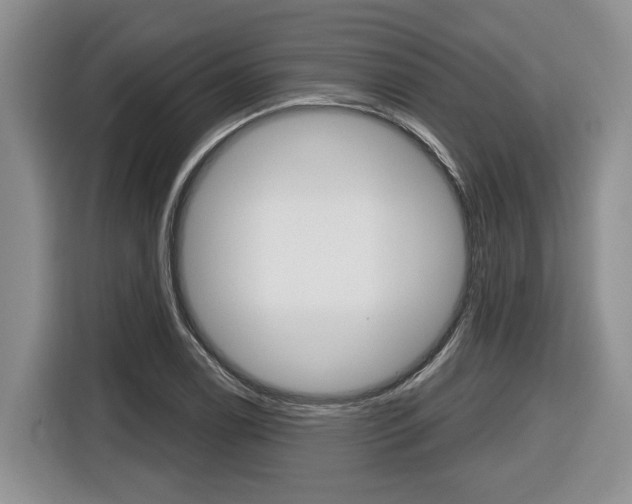 X0000116431122200912081215