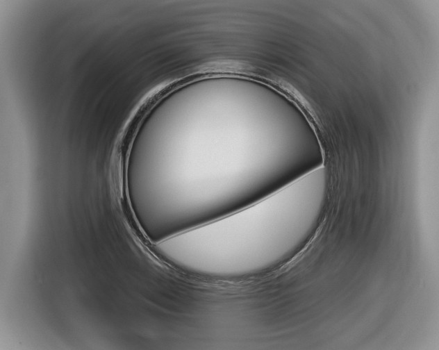 X0000116431123200912081215