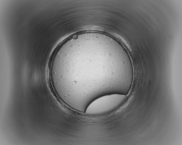 X0000116431125200912081215