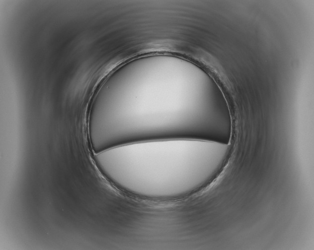 X0000116431129200912081215
