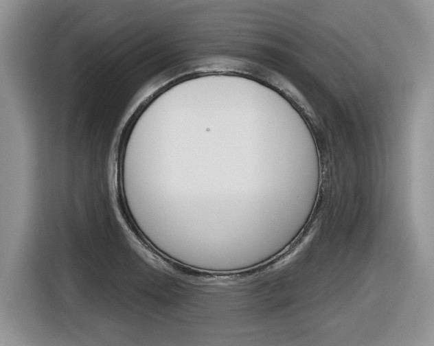 X0000116431130200912081215