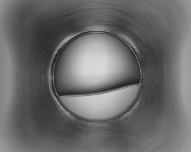 X0000116431133200912081215
