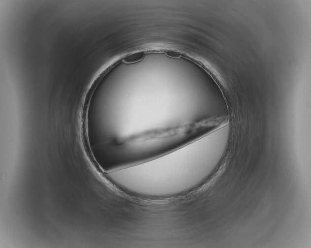 X0000116431134200912081215