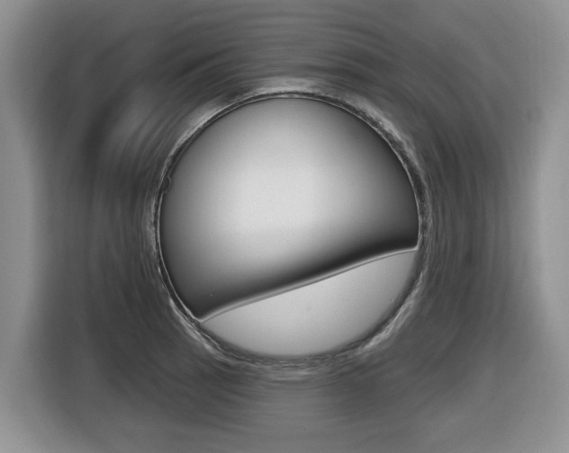X0000116431137200912081215