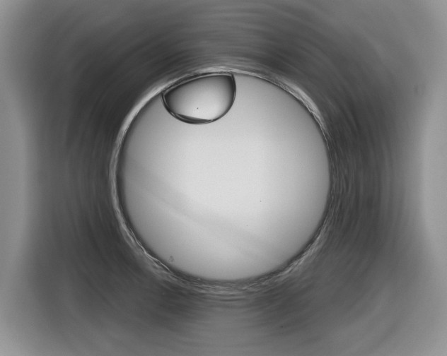X0000116431138200912081215