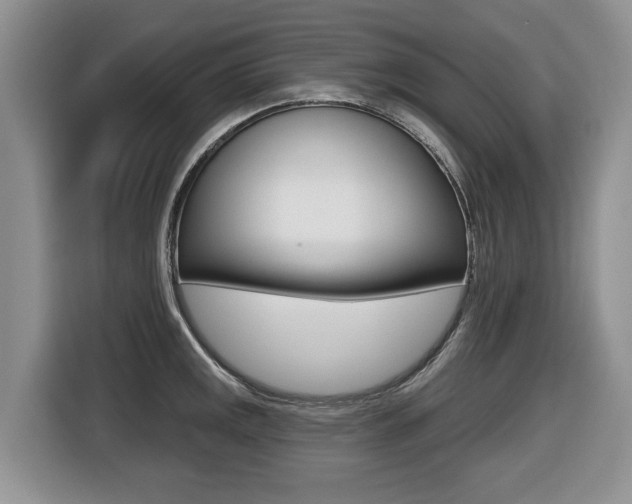 X0000116431141200912081215