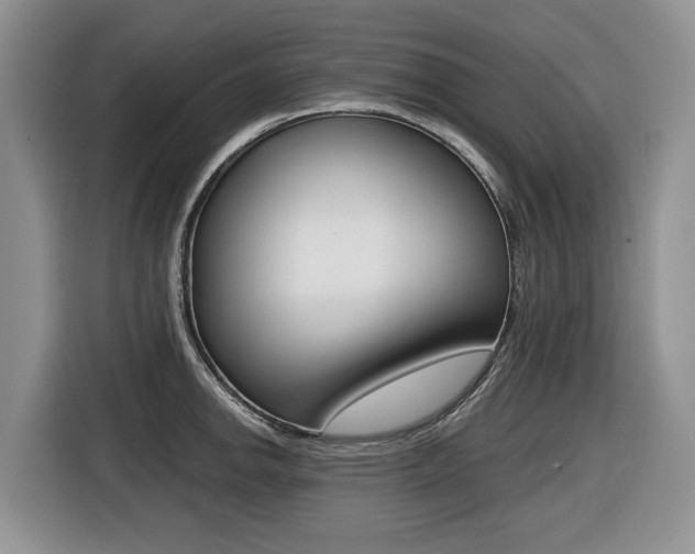 X0000116431142200912081215