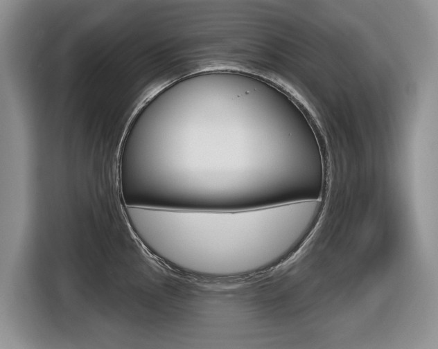 X0000116431145200912081215