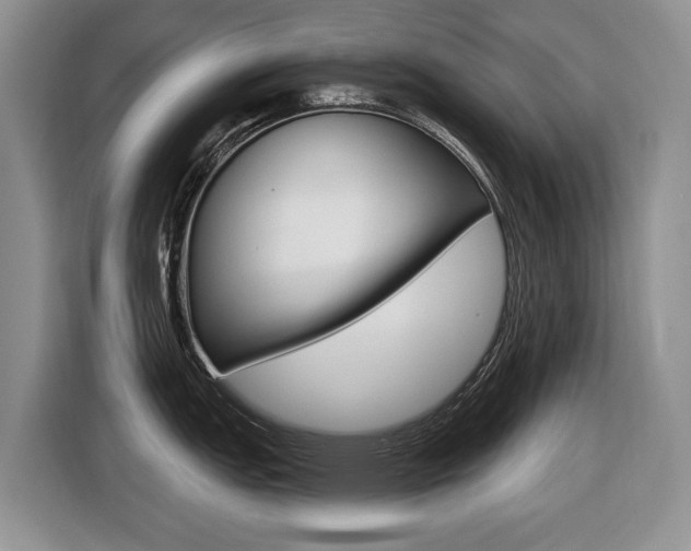 X0000116431151200912081215