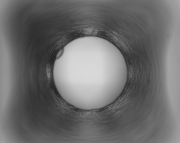 X0000116431154200912081215