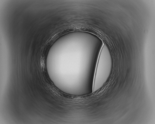 X0000116431155200912081215