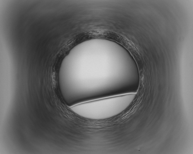 X0000116431156200912081215