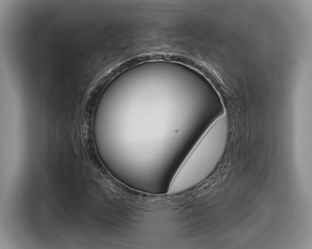 X0000116431159200912081215