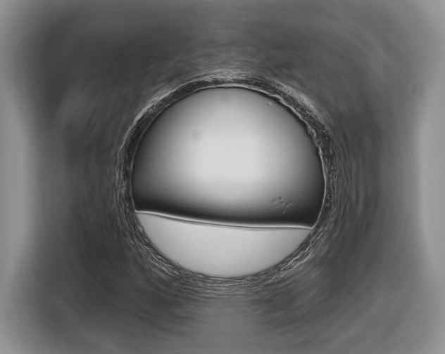 X0000116431160200912081215