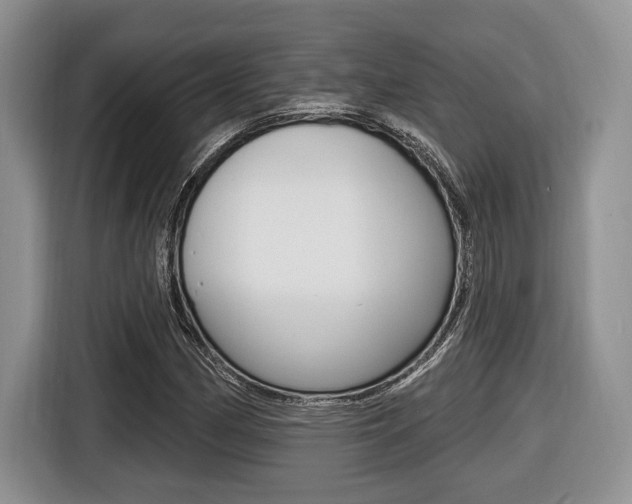 X0000116431162200912081215