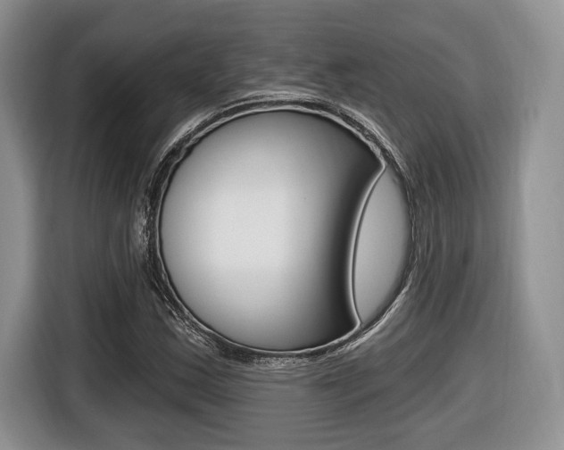 X0000116431163200912081215