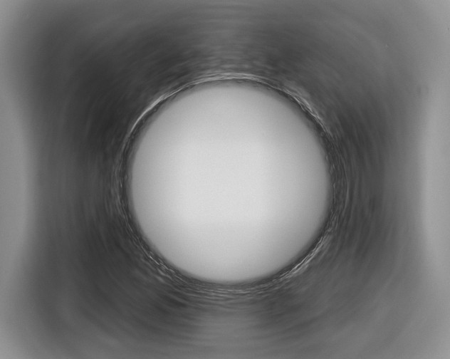 X0000116431165200912081214