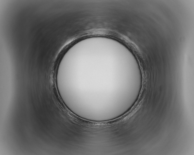 X0000116431166200912081214