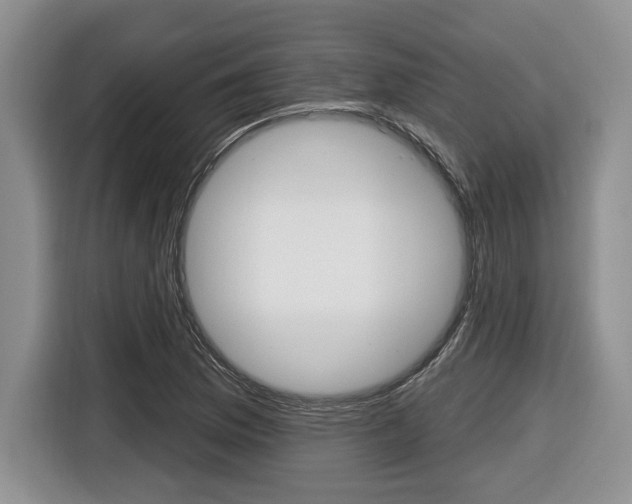 X0000116431169200912081214