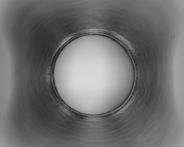 X0000116431170200912081214