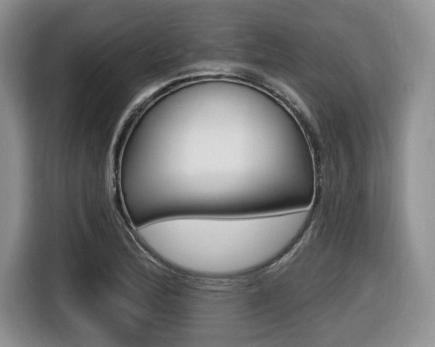 X0000116431172200912081214