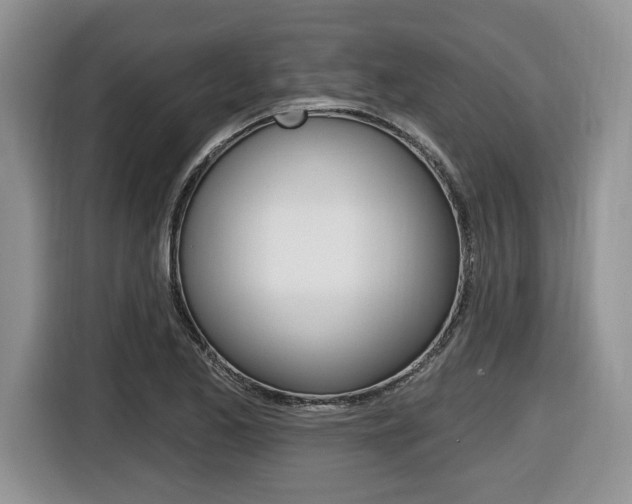 X0000116431173200912081214