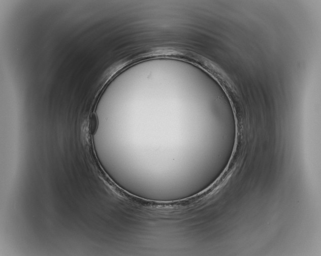 X0000116431177200912081214