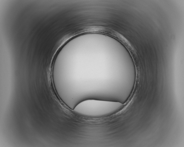X0000116431178200912081214
