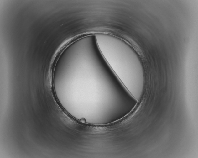 X0000116431180200912081214