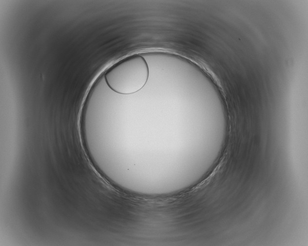 X0000116431181200912081214