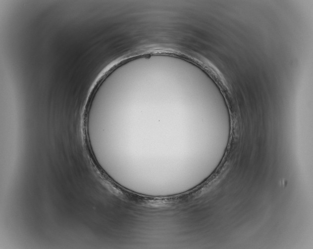 X0000116431182200912081214