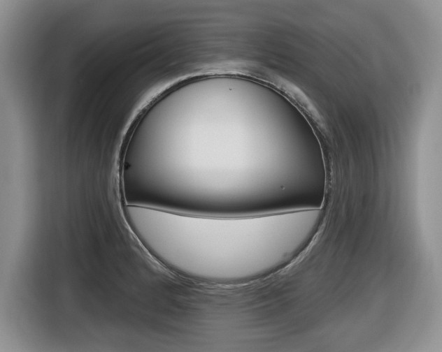 X0000116431184200912081214