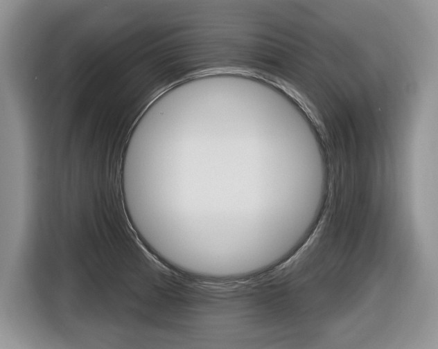 X0000116431185200912081214