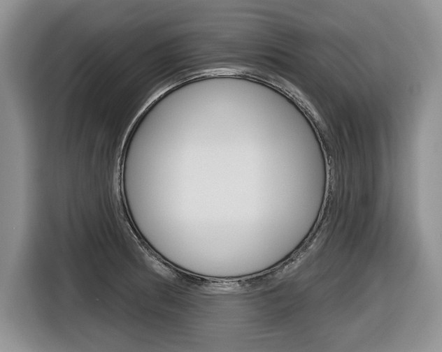 X0000116431186200912081214
