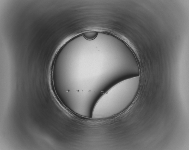 X0000116431187200912081214
