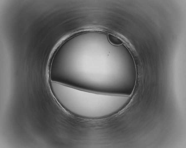 X0000116431188200912081214