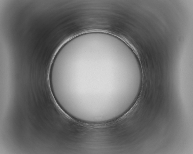 X0000116431189200912081214