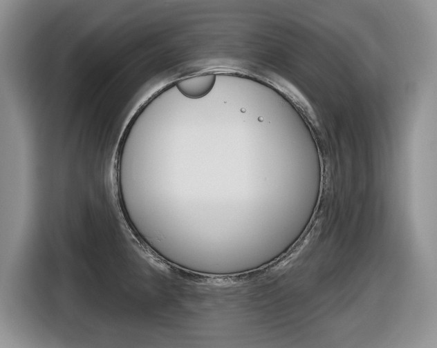 X0000116431190200912081214