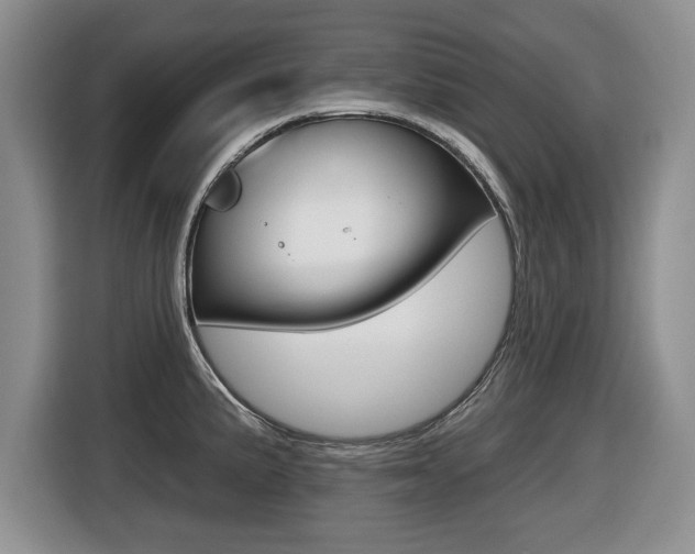 X0000116431191200912081214
