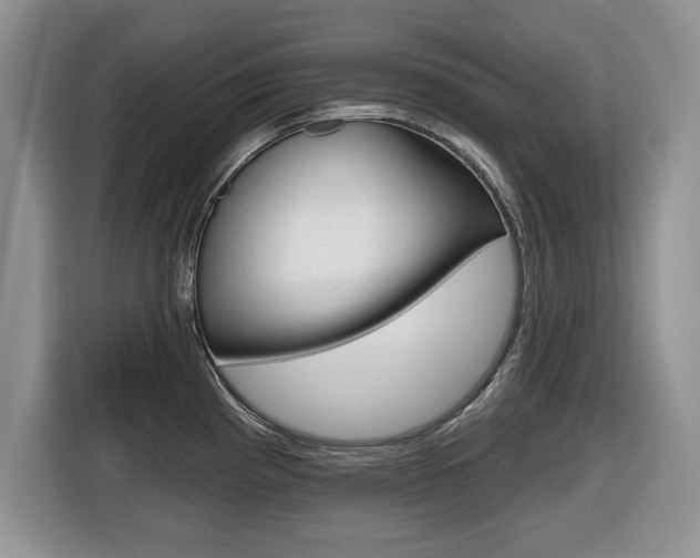 X0000116431193200912081214