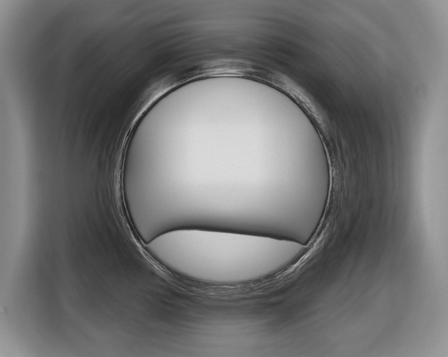 X0000116431194200912081214